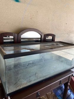 Reptile tank