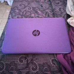 Hp Purple Laptop