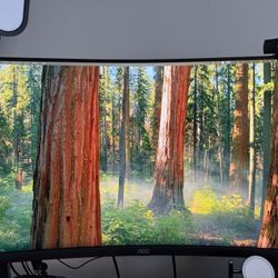 27” Curved Monitor 