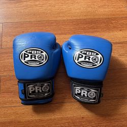 PBS:PRO Boxing Gloves 
