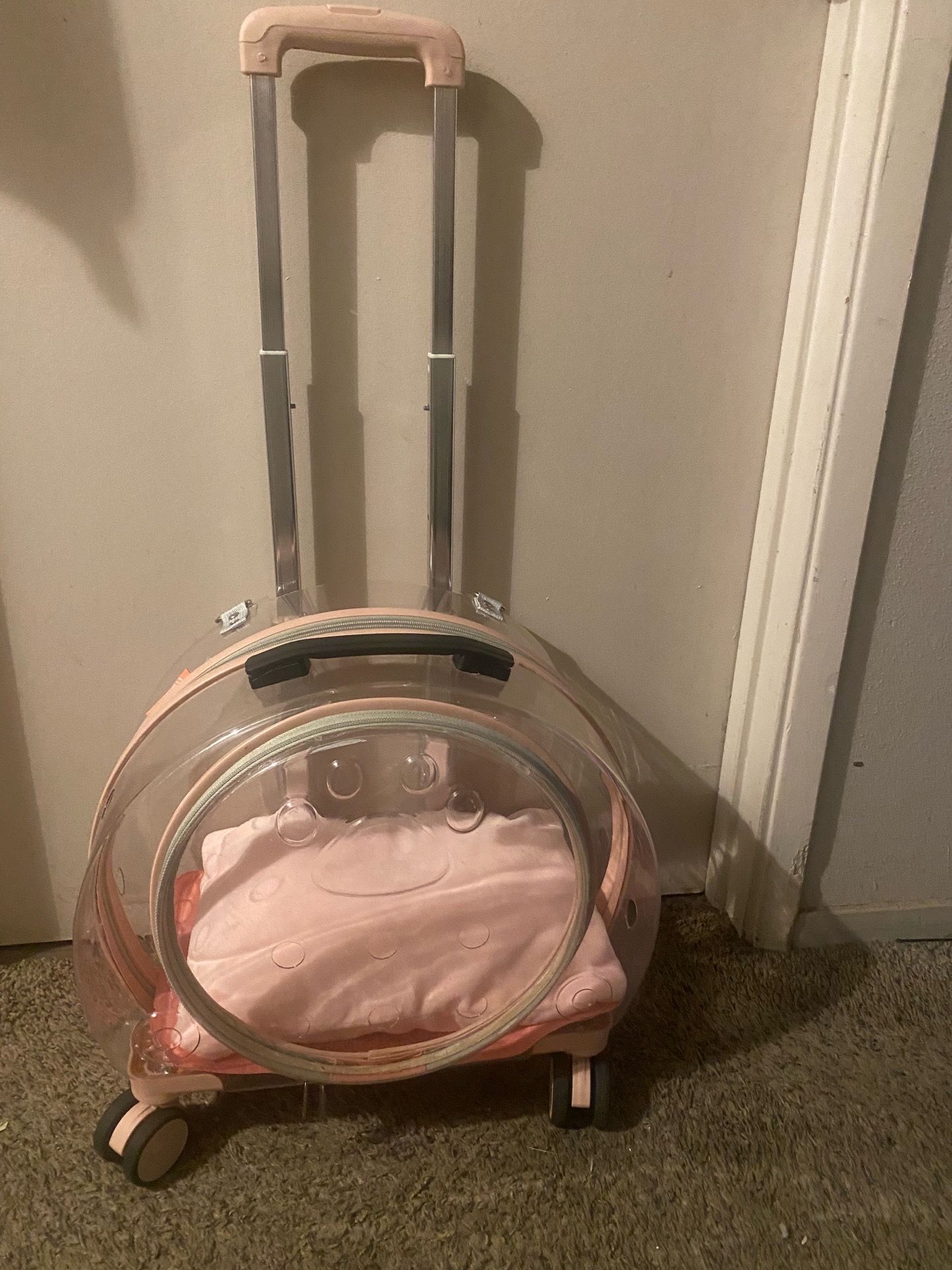 Transparent Cat Luggage Carrier Holder Its New
