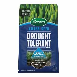 Grass seed