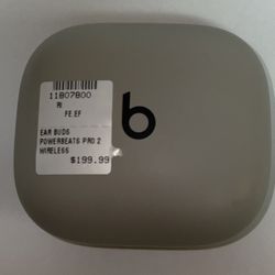 Light Grey Powerbeats Pro 2 Wireless Earphones