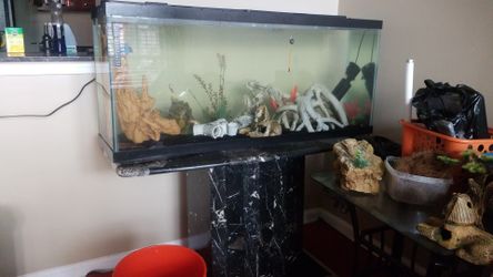 55 gallon aquarium