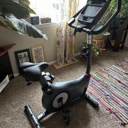 Schwinn 170 Upright Bike