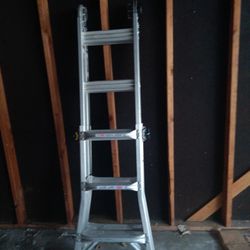 Gorilla industrial ladder