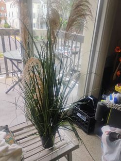 Artificial plant pickup only cash