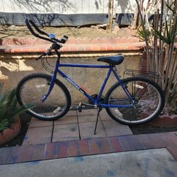 Bike 1991 vintage  $120