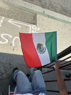 Car flag