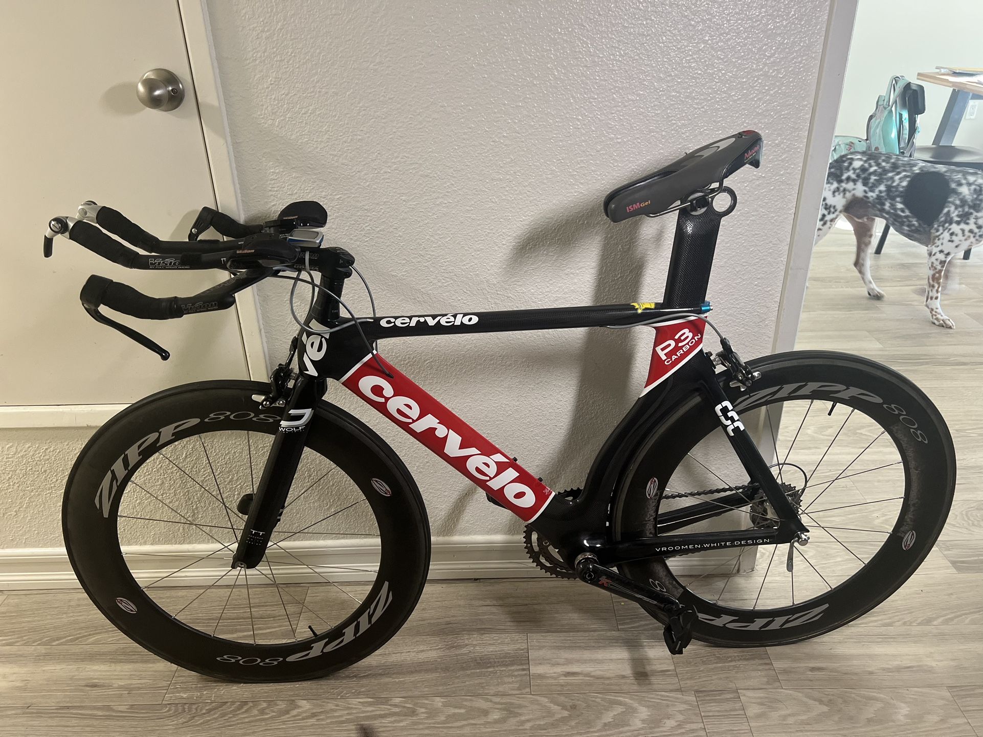 Triathlon Bike Carbon Fiber