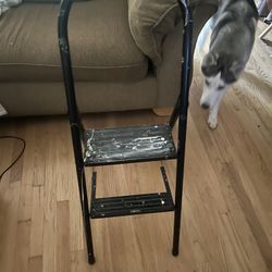 Stepping Stool 