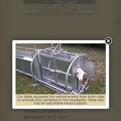 Sheep Handling System 