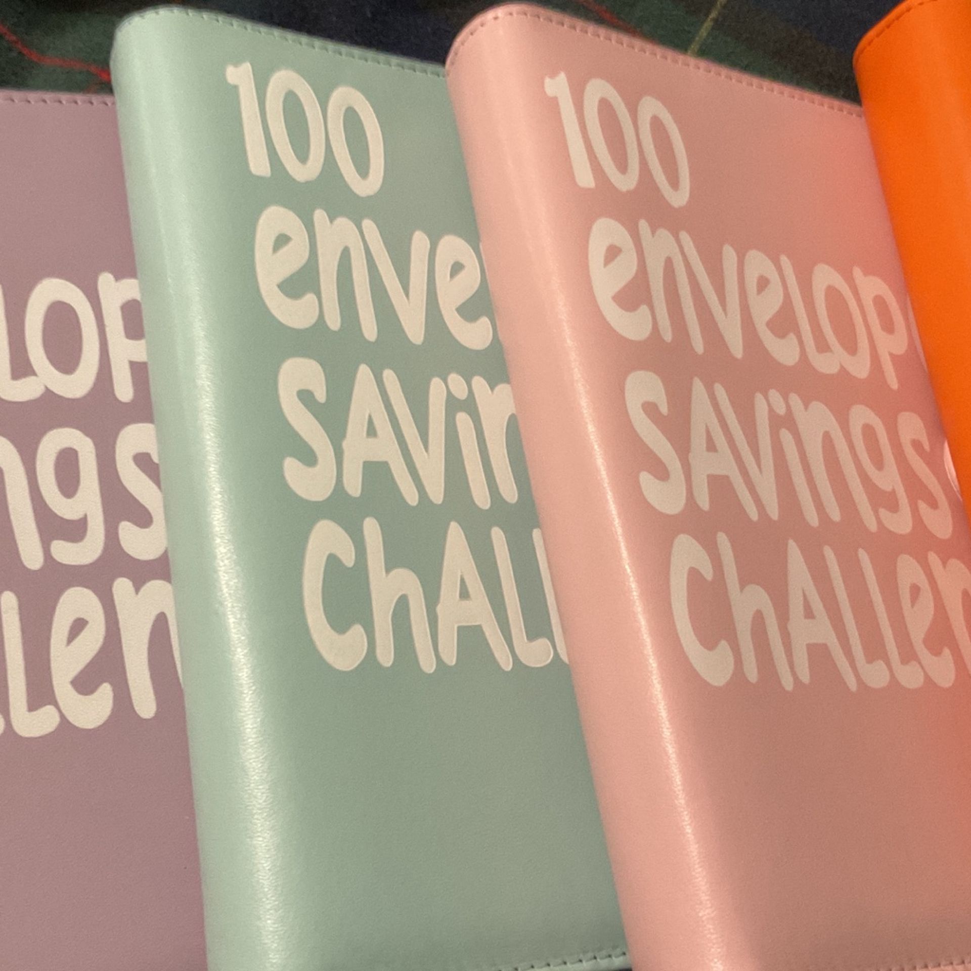 Brand New Savings Challenge Books