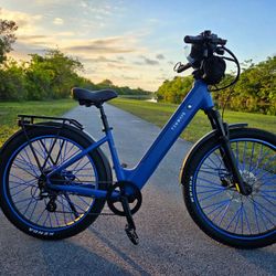 Tenways Wayfsrer Ebike 