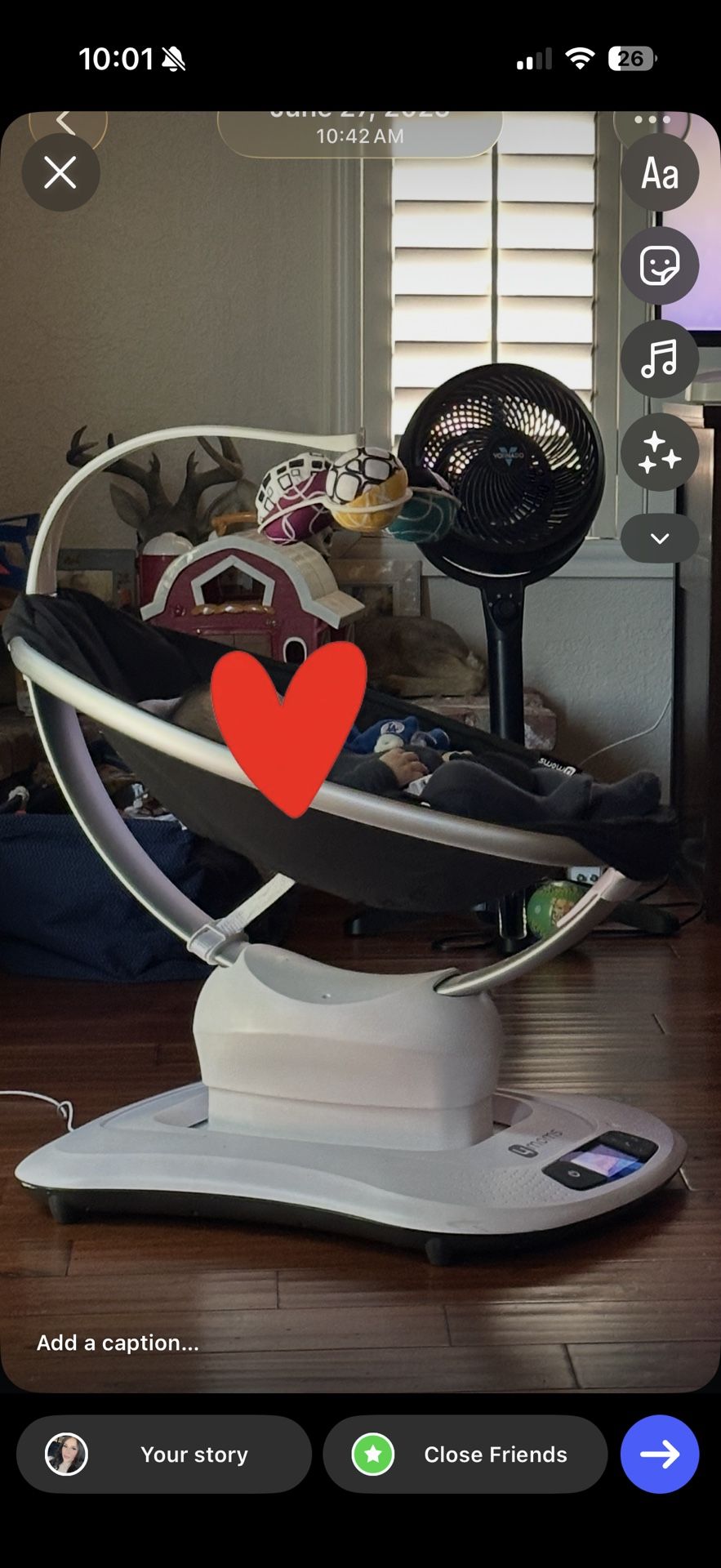 Momaroo Swing