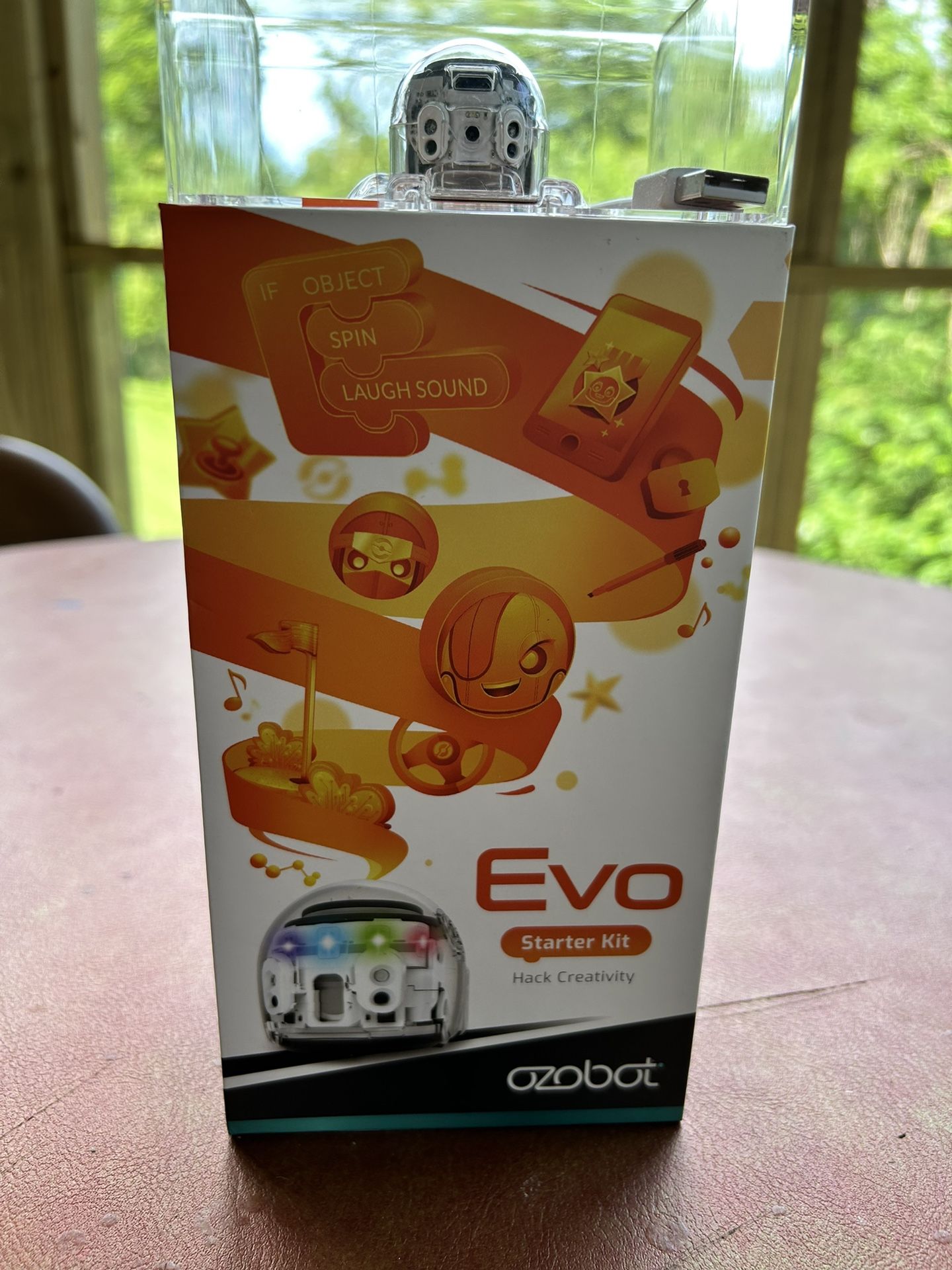 Evo Ozobot