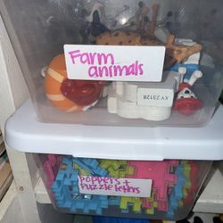 Kids Toys