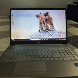 HP 15.6" HD Display Laptop