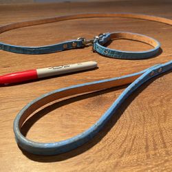 Small/Medium Dog Genuine Leather Leash & Collar Set