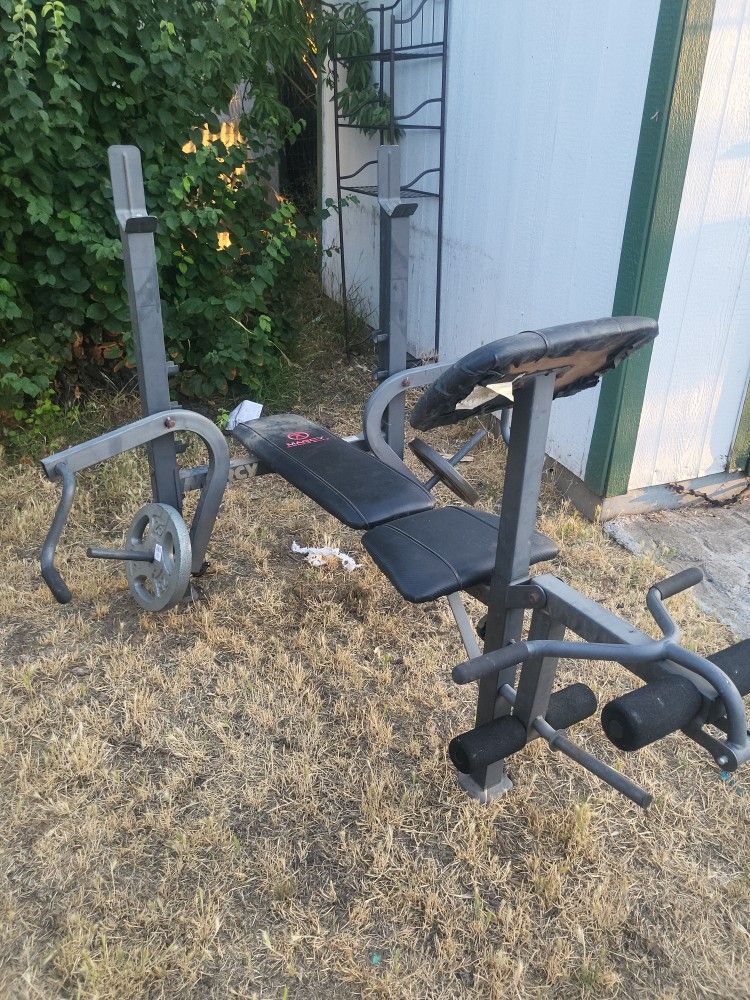 Weight Bench