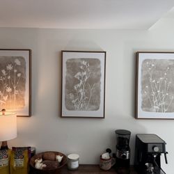 Set Of 3 Floral Wall Prints In Wooden Frame