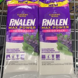 Cleaning Wipes 