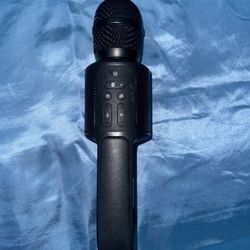 Karaoke Microphone