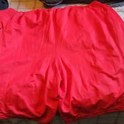 Nike & Jordan Shorts For Sale