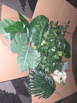 Safari leaves and vines