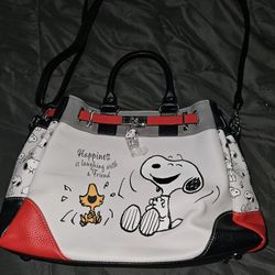 Bradford Exchange Snoopy Purse