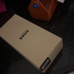 GoPro11