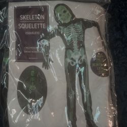 Skeleton