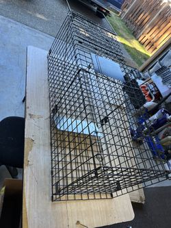 Extra large animal trap