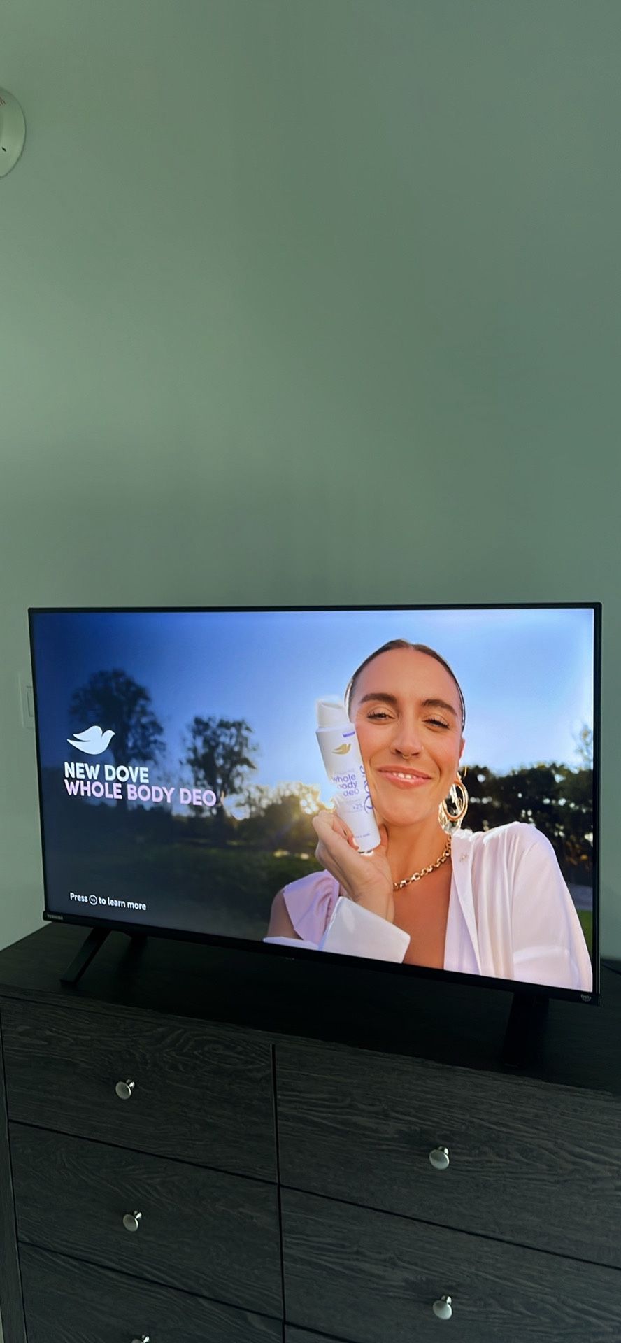 TOSHIBA TV 43-inch(2023)