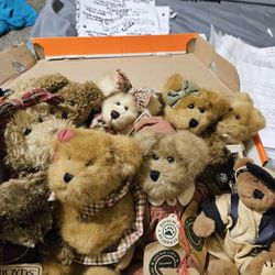 Boyd's Bear Lot All Except With The Exception Of One Mabie 2 Has Tags