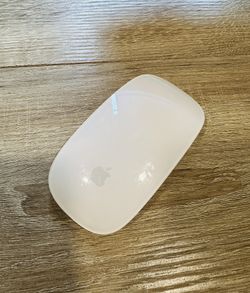 Apple Magic Mouse (Multi Touch Surface)