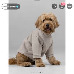 Comfrt Dog shirt Size L