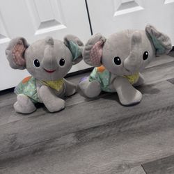 Explore N Crawl Elephants