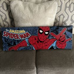 Spider Man Picture