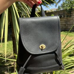 Vintage Coach