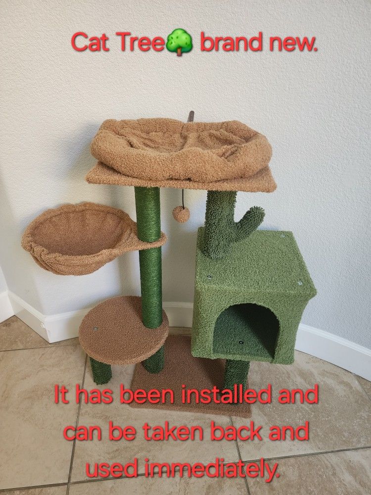 Cat tree ( green) ＆(new)