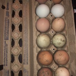 A Dozen Organic Chicken Eggs