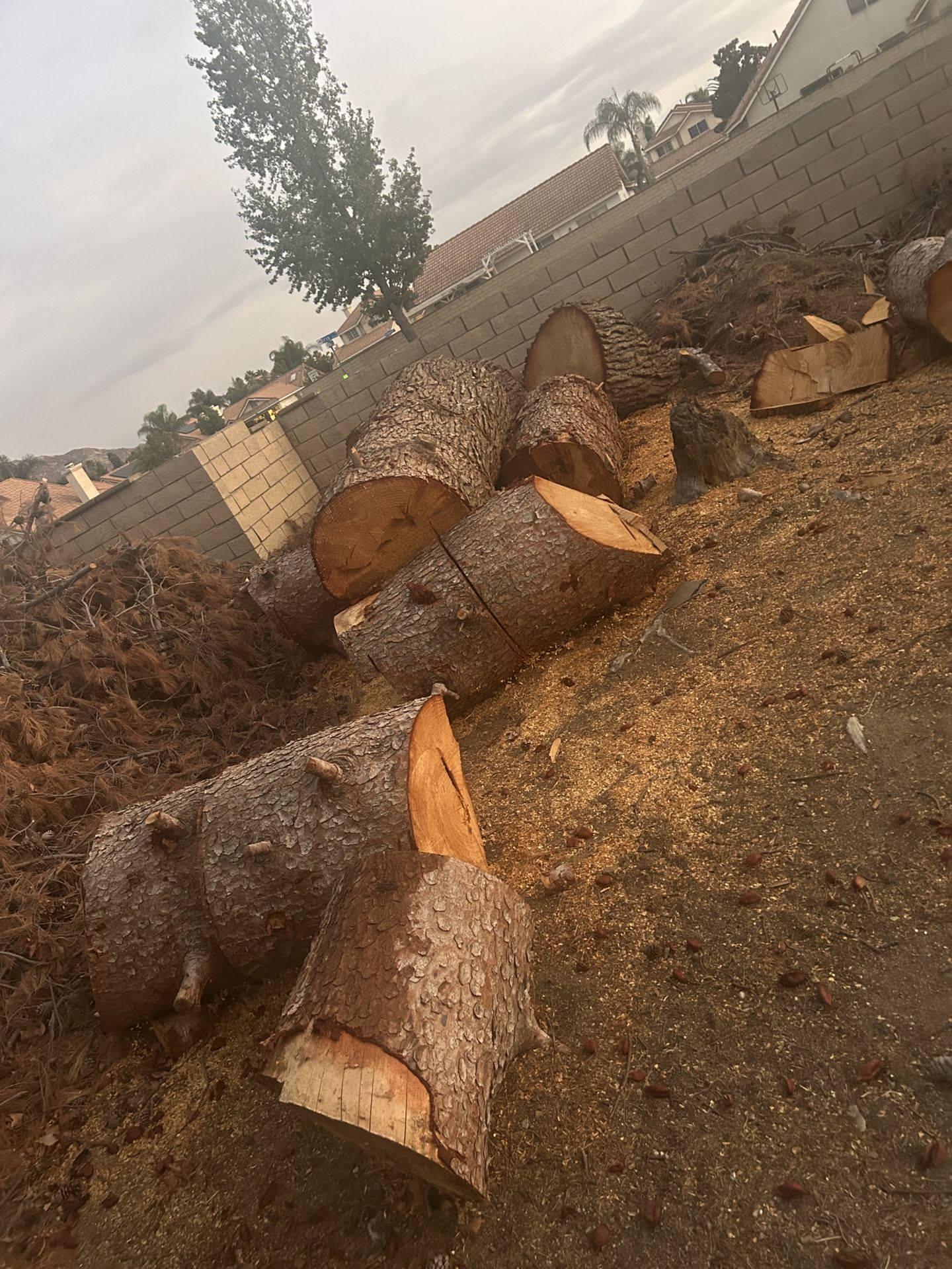 Selling File And Big Blocks Fresh Cut Wood For Winter