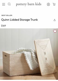 Quinn Lidded Storage Trunk