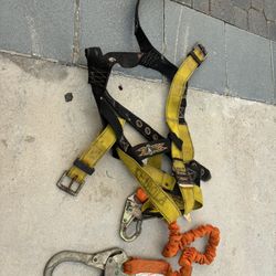 Harness 