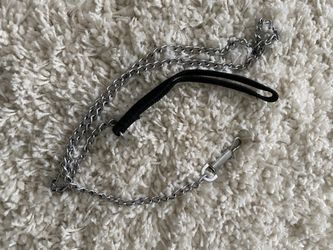 Small dog chain metal choke collar and leash