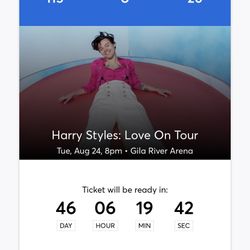 Harry Styles Concert 