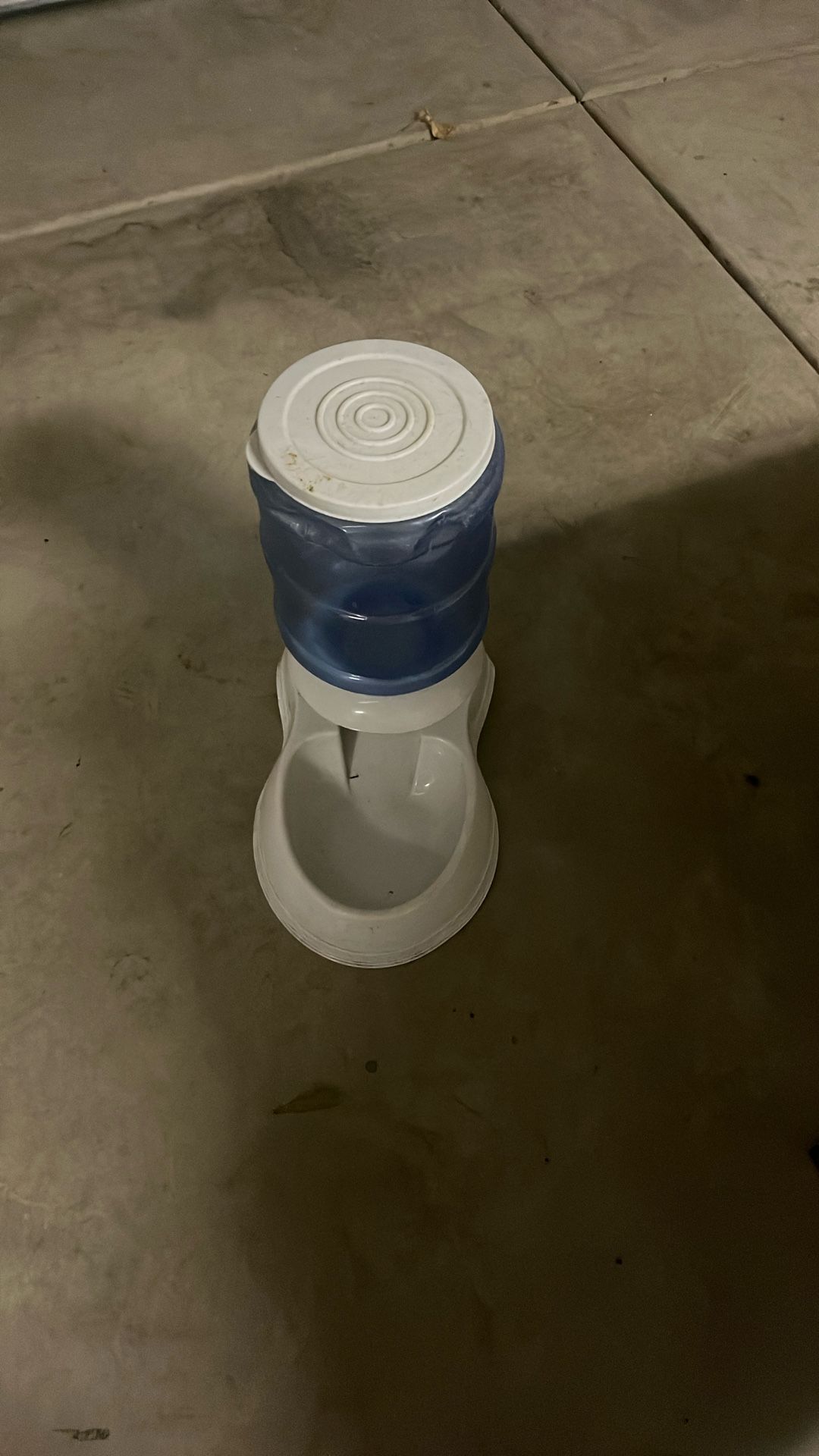 Dog Water Dispenser 