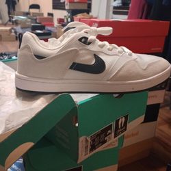 Nike SB Alleyoop 