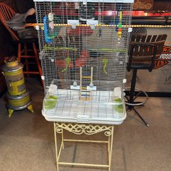Bird Cage